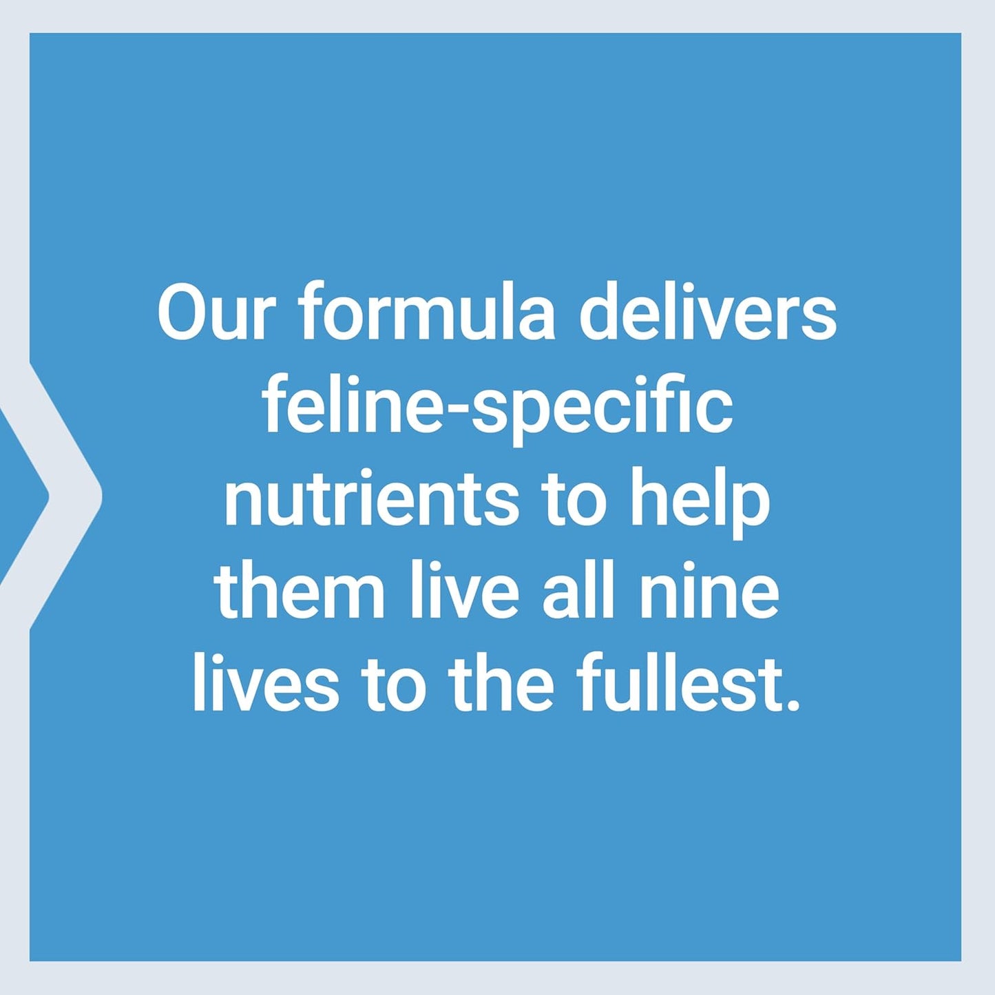 Life Extension Cat Mix, cat Food Supplements, Heart Health, probiotics, L-arginine, Taurine, B12, folic Acid, Vitamin C, Vitamin E, Rosemary, Nutrient Absorption, Gluten-Free, Non-GMO, 85 Servings