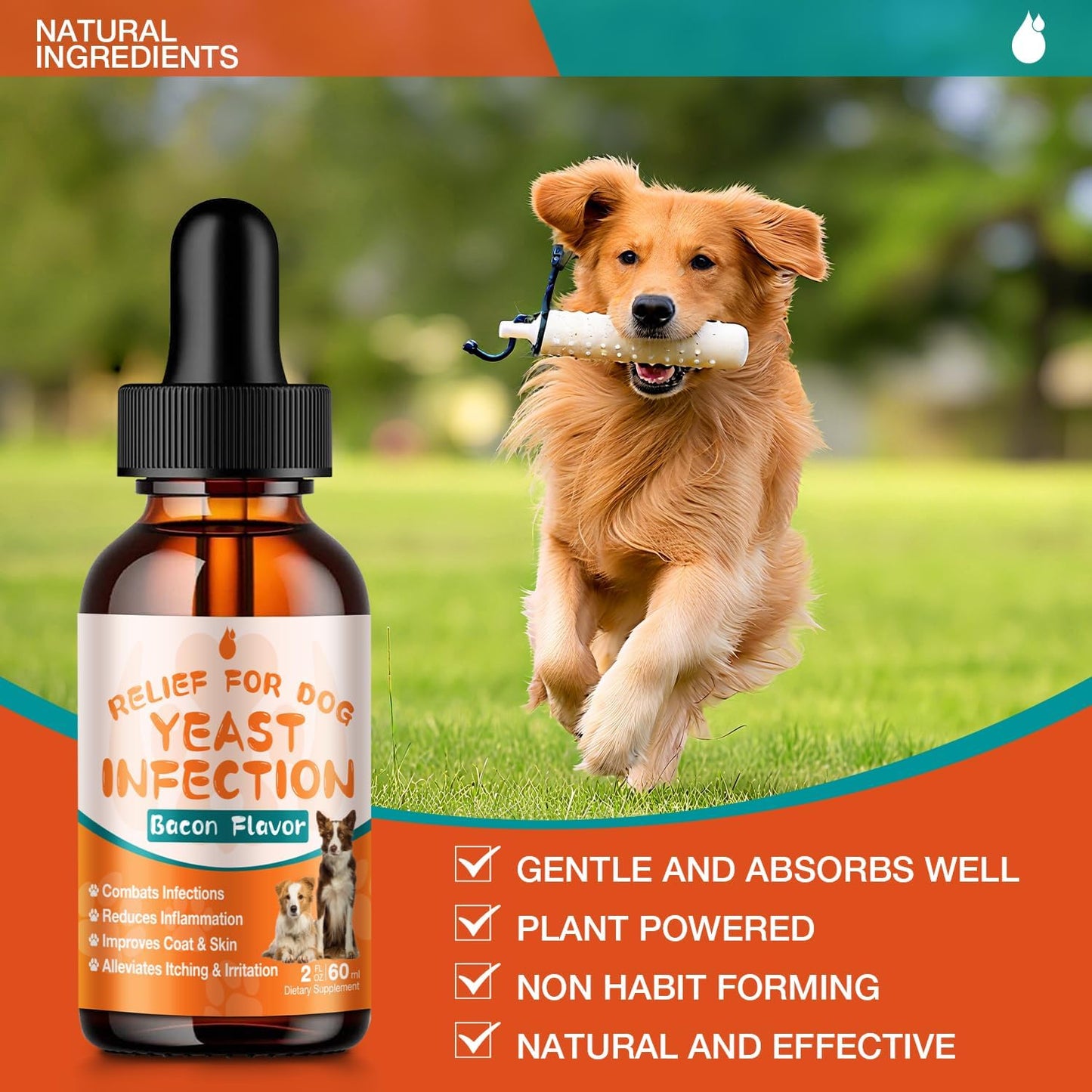 Dog Yeast Infection Treatment - 60ml Natural Herbal Supplement Drops | Supports Itch Relief, Ear Infection Relief & Skin Allergy Relief for All Breeds