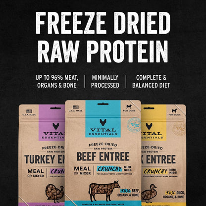 Vital Essentials Freeze-Dried Raw Beef Crunchy Mini Nibs | Complete Meal or Mixer Dog Food | 25 oz