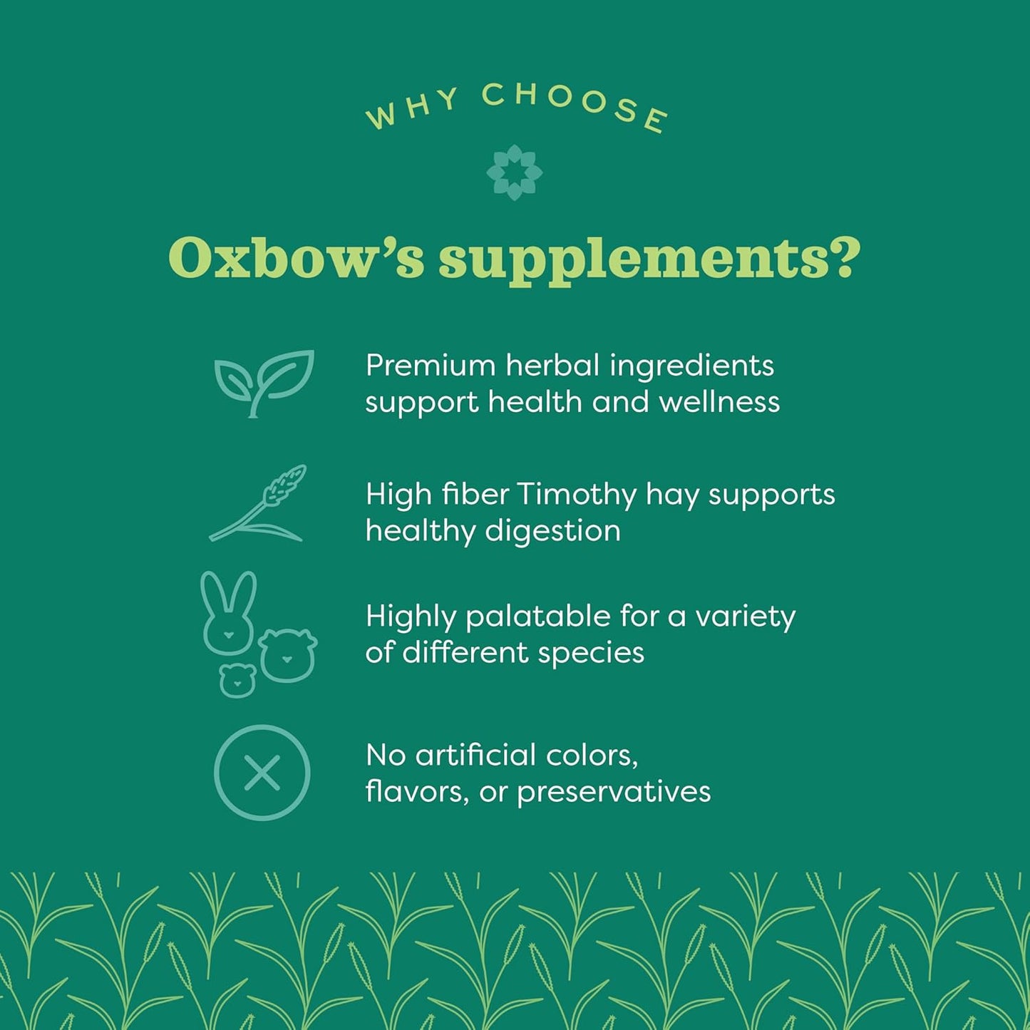 Oxbow Natural Science Digestive Support, High Fiber Supplement for Rabbit & Guinea Pig, Made with Timothy Hay, Includes Chicory Root, Ginger Root, Chamomile, Made in USA, 4.2 oz Bag