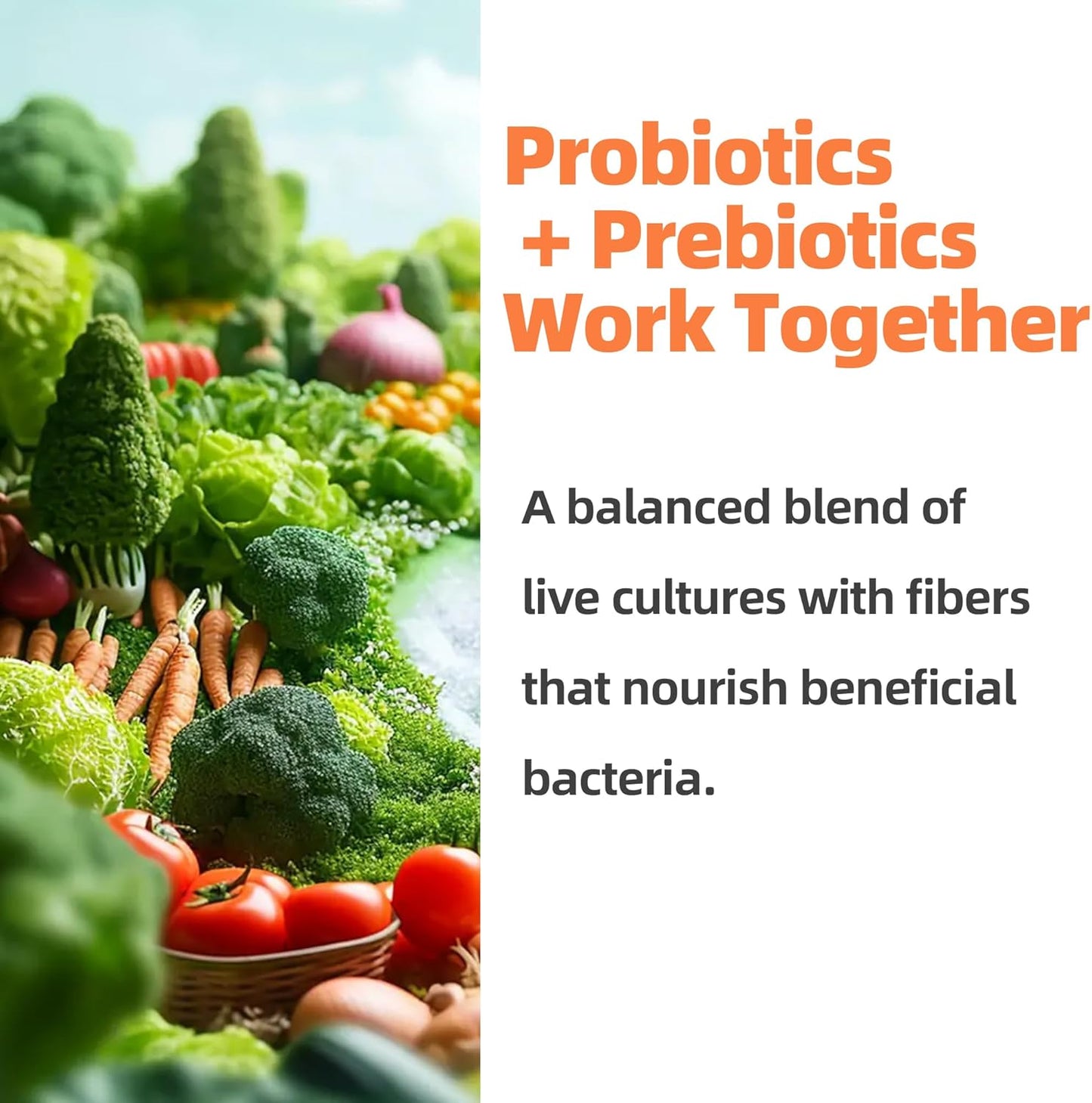 Probiotics for Dogs & Cats, Chicken Tablets, 300 Ct - Sensitive Stomach & Digestive Support, Gas & Bloating Relief, Food Transition - Grain/Gluten Free, No Artificial Additives