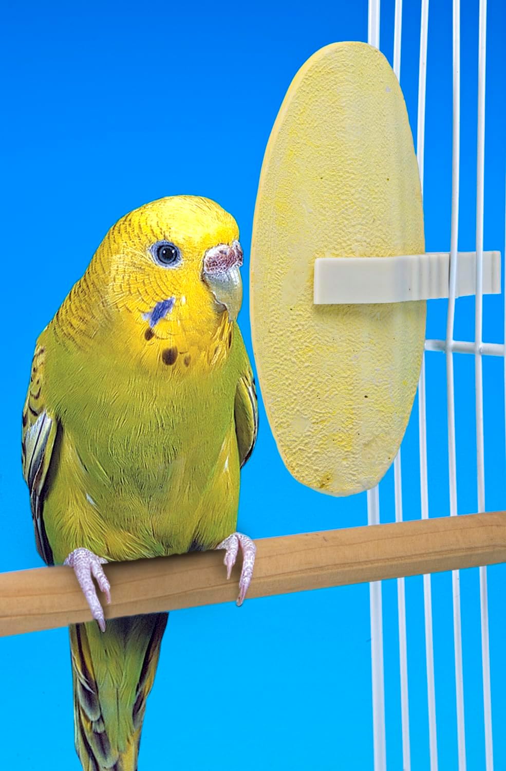 Penn-Plax Bird-Life Flavored E Cuttlebone 6 Pack – Mango & Banana – Enriched with Omega 3 and Vitamin B1 – Great for All Birds