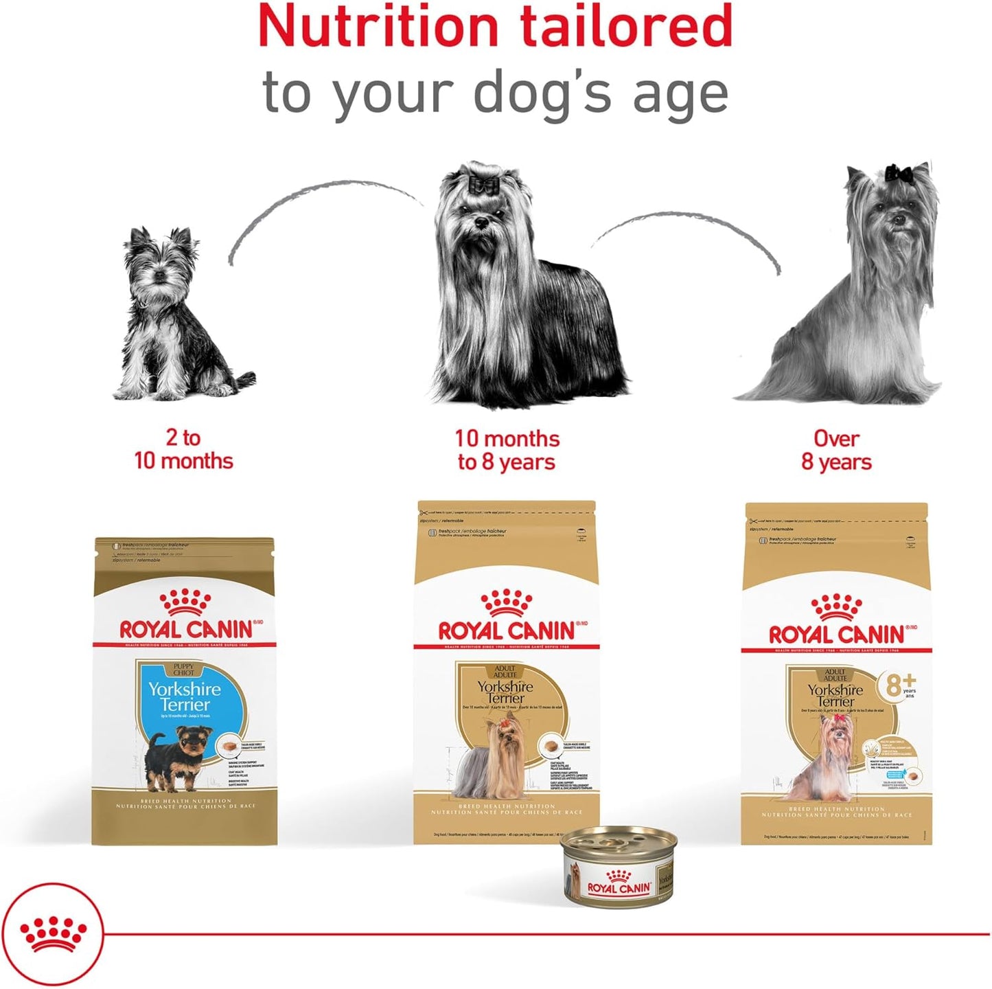 Royal Canin Breed Health Nutrition Yorkshire Terrier 8+ Senior Dry Dog Food, 2.5 lb Bag