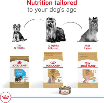 Royal Canin Breed Health Nutrition Yorkshire Terrier 8+ Senior Dry Dog Food, 2.5 lb Bag