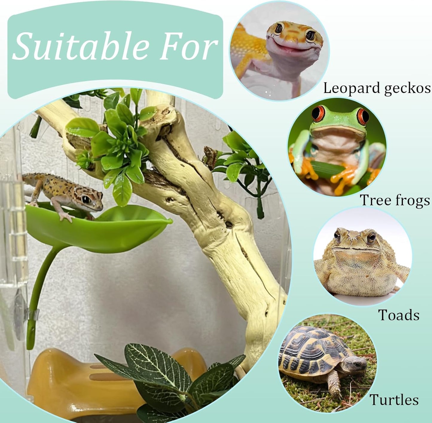 Crested Gecko Tank Accessories 3 PCS Wall Climbing Gecko Toy Reptile Leaf Habitat Decor for Tree Frogs