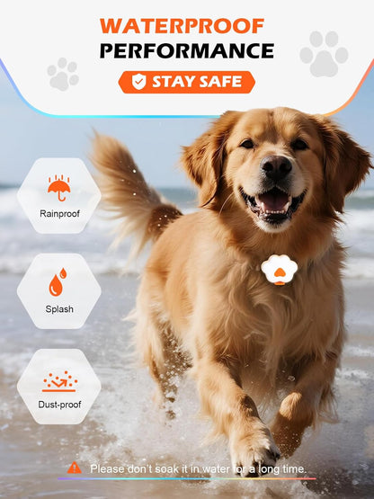 Lekereise Top-Expandable Pet Carrier with Dog Collar Light LED - TSA Airline Approved Soft Sided Underseat Up to 15lbs Travel Carriers for Small Cats and Dogs Black