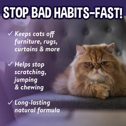 Bodhi Dog 3-in-1 Cat & Kitten Training Aid - Cat Deterrent Spray for Indoor and Outdoor Use - Protect Furniture, Rugs and Plants - Establish Boundaries & Keep Felines Off - Made in USA (8 Fl Oz)