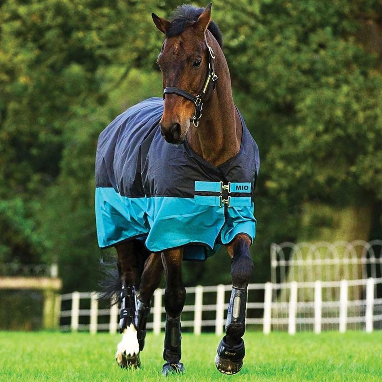 AMIGO Mio Turnout Sheet Lite Black/Turquoise/Black 81