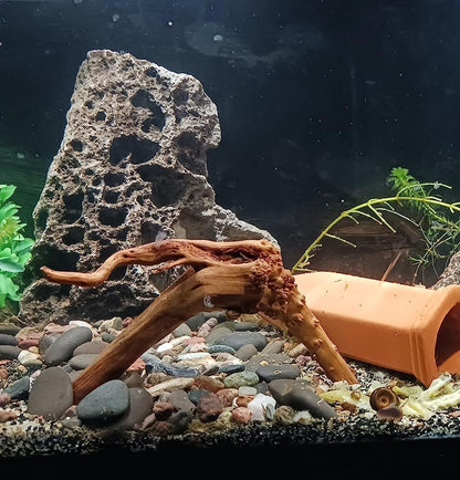 10pcs Natural Small Spiderwood Driftwood for Aquarium Decor Aquarium Driftwood Freshwater Reptile Driftwood Aquarium spiderwood (spiderwood 5-6inch 10pcs)