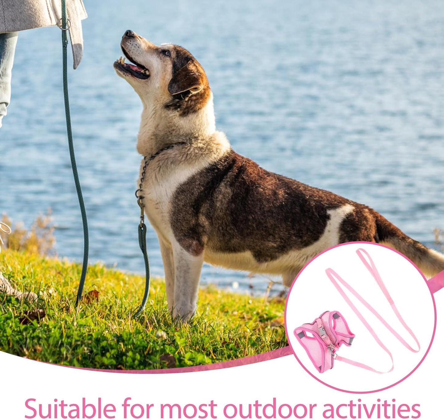 FRCOLOR Breathable Reflective Dog Harness with Leash Soft Mesh Pet Vest for Outdoor Walking One-Hand Operation Lightweight Style Pink S