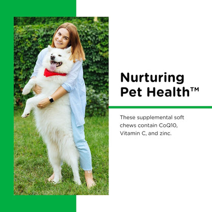 Nutri-Vet Dental Health Soft Chews for Dogs, Puppy Essentials, Plaque Remover, Pet Supplies, Dog Breath Freshener, Promotes Healthy Teeth and Gums, Dental Chews, Natural Hickory Smoke Flavor, 70 Count
