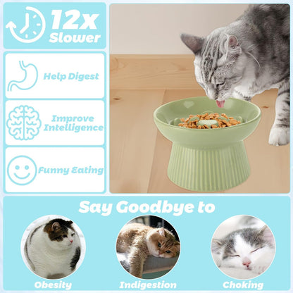 STARVAST 2 Pack Ceramic Slow Feeder Cat Bowl, Elevated Slow Feeder Cat Bowl, Anti Vomiting & Choking Cat Slow Feeder, Raised Cat Bowl Slow Feeder for Dry and Wet Food, Spill-Proof and Easy to Clean
