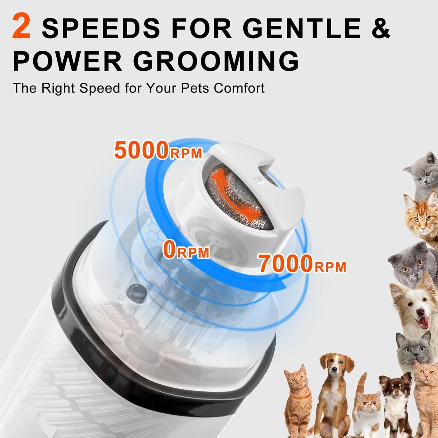 Dog Nail Grinder Quiet Electric with LED Light 2 Speed Professional Pet Nail Grinder for Dogs and Cats Safe Paw Grooming Tool for Small Medium Large Dogs