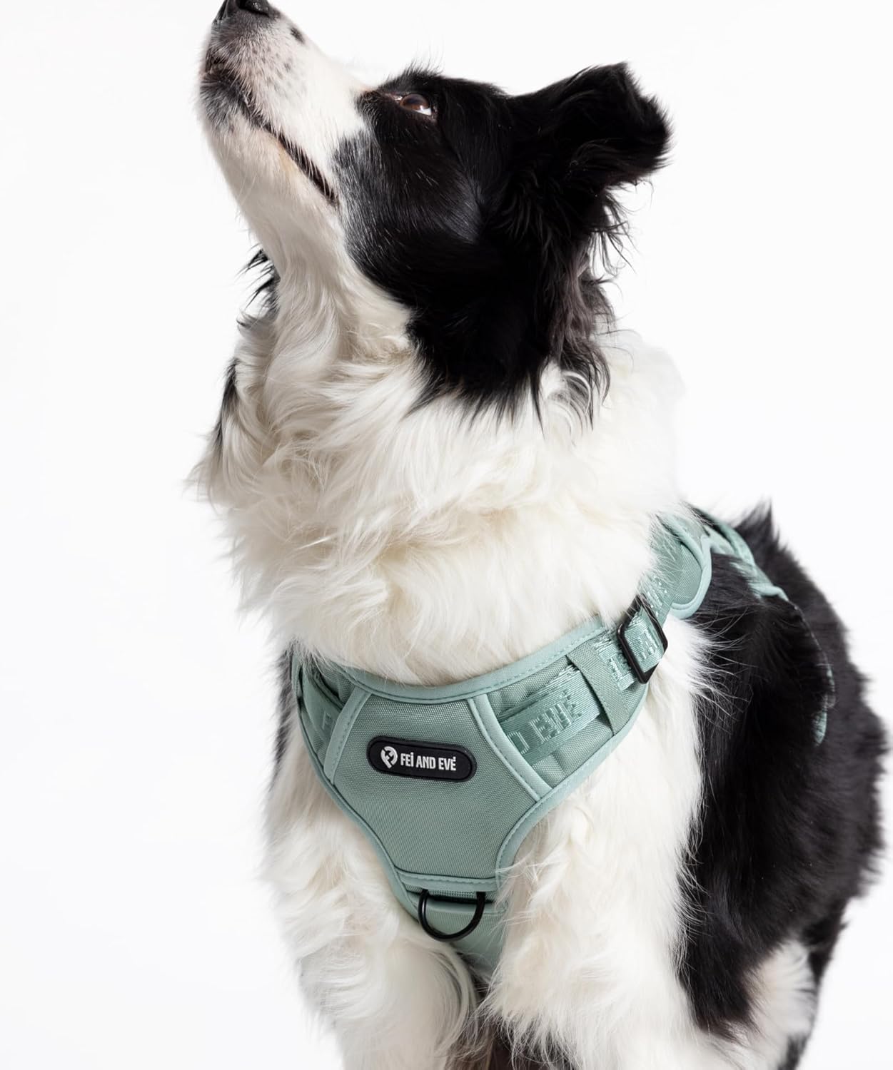 2025 New Edition, Fei & Eve Classic Dog Harness - Quick-Release Buckles | 3-Point No-Pull Control | Heavy-Duty 900D Nylon | Dual Safety Handles | Breathable Mesh | Adjustable Fit | Medium,Green