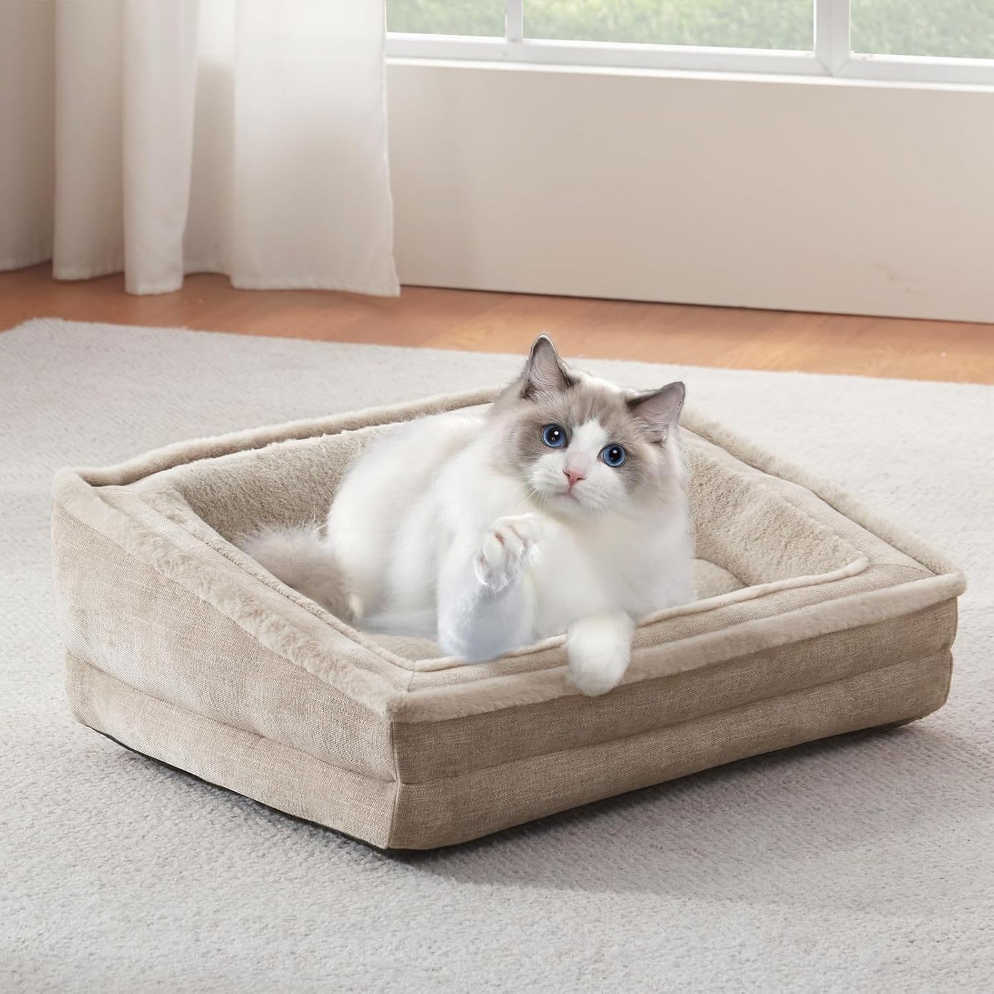 Cat Couch for Pets, Washable Cat Beds for Indoor Cats, Super Soft Plush Supportive Dog Couch Bed for Puppy and Kitten with Anti-Slip Bottom, 24inch, Beige