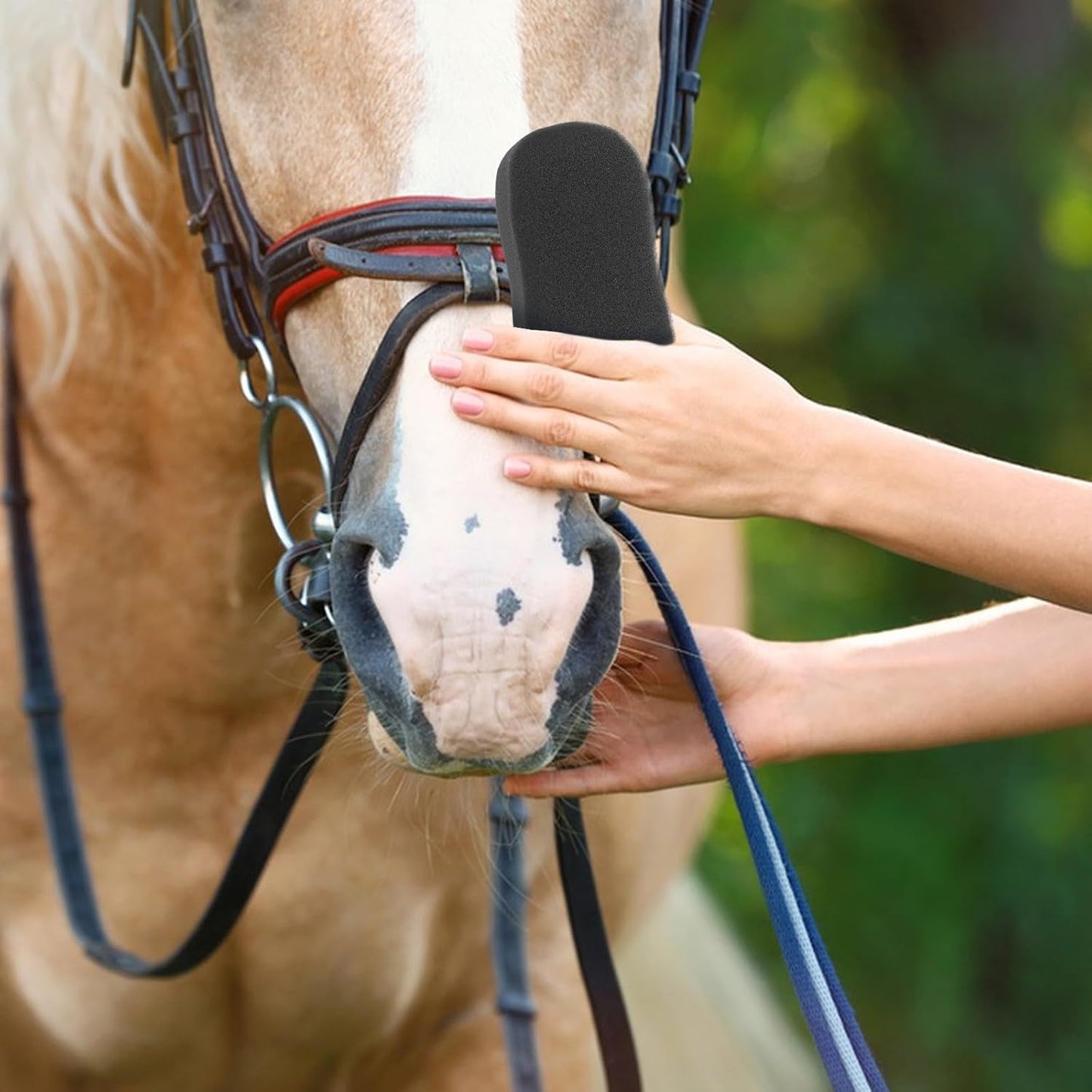 5pcs 5pcs Horse Grooming Sponges for Bathing and Massaging Smooth-Textured Body Cleaning Pads for Dirt Removal and Sweat Mark Care Comfortable Grip Horse Accessories for Coat Care