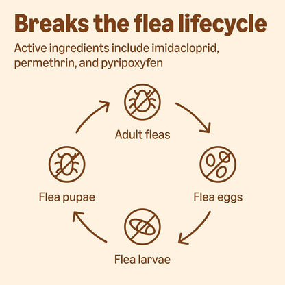 Amazon Basics PreventativeFlea, Tick & Mosquito Topical Treatment for Large Dogs (21-55 pounds), 6 Count, Packaging May Vary