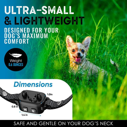 Tiny Bark Collar for Small Dogs 5-15 lbs and Puppies - No Shock Anti Barking Collar - Rechargeable Smart Collar for Dog Training with 7 Sensitivity Levels and 3 Beep&Vibration Modes (Black)