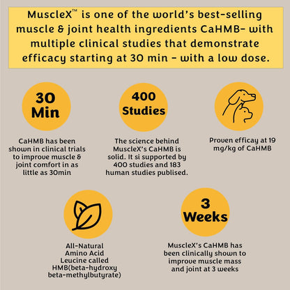 MuscleX™ Canine Muscle Formula Cats & Small Dogs with 300 mg CaHMB & Vitamin D3 - Natural Muscl Building formula - Helps Reduce Muscle Loss Due to Normal Aging & Improves Recovery from Injury(90 Caps)
