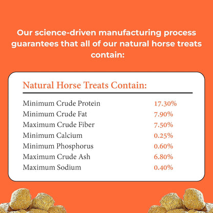 Horses Treats - Low Sugar, Starch, and Carbohydrates | Healthy Treats for Horse Supports Superior Digestion 1 Pound (Pack of 1)
