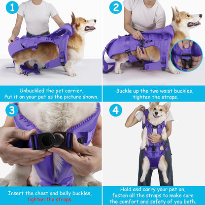 PetBonus Pet Front Dog Carrier Backpacks and Dog Seat Belt for Car