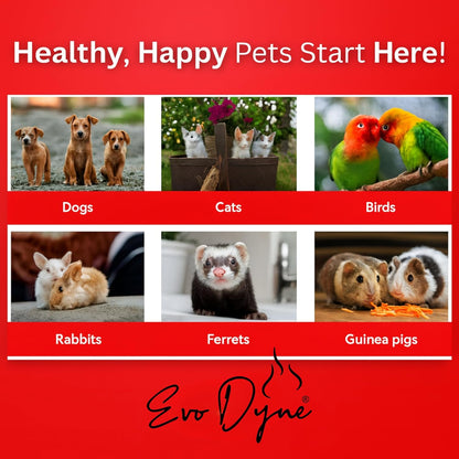 Styptic Powder for Dogs, Cats, and Birds (2 oz) by Evo Dyne | Fast-Acting Blood Stop for Pets | Quick Stop Bleeding Powder for Dog Nail Clipping, Grooming, Cuts and More (1-Pack)