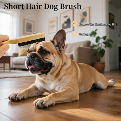 Soft Boar Bristle Dog Brush for Short Haired, Gentle Deshedding & Grooming Tool, Ideal Pet Hair Brush, Puppy Essentials for Grooming and Shedding, Small and Large