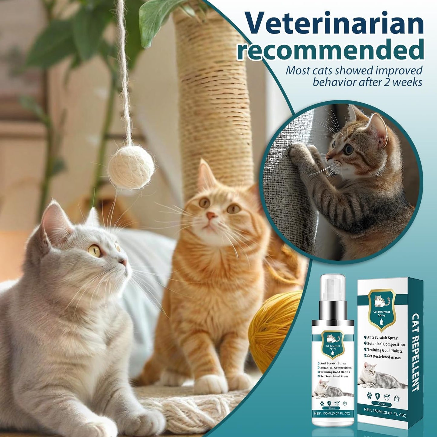 Advanced Cat Deterrent Spray, Natural Formula Cat Repellent Indoor and Outdoor, Strengthened Cat Scratch Deterrent for Furniture, Sofas, Rugs, Curtain Protection, Stop Cats from Urinating (Green, M)
