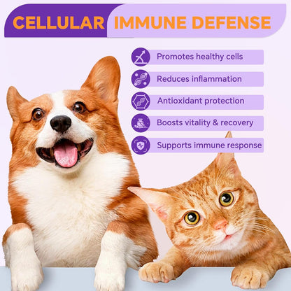 Dog Cancer Supplements | Supports Lipoma Treatment & Wart Remover | IP-6 Immune Drops Solution for Dogs |Luteolin & Apigenin: Natural Antioxidants & Anti-Inflammatory l Myo-Inositol Supplement 2.03 OZ