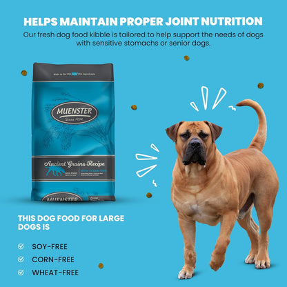 Muenster Adult Dry Dog Food - 22lb Bag Ancient Grain w/Ocean Fish & Freeze-Dried Meatballs Barnyard Chicken Recip