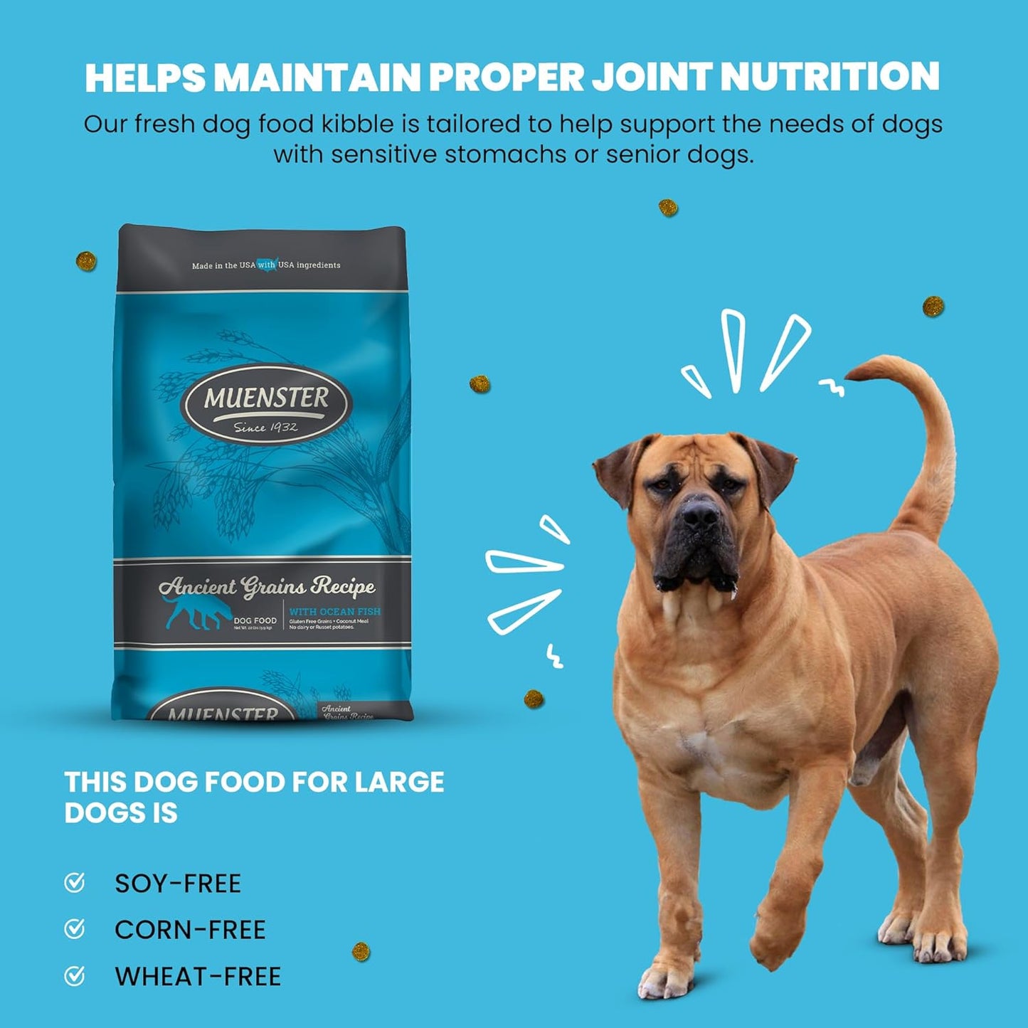 Muenster Adult Dry Dog Food - 22lb Bag Ancient Grain w/Ocean Fish & Freeze-Dried Meatballs Barnyard Chicken Recip