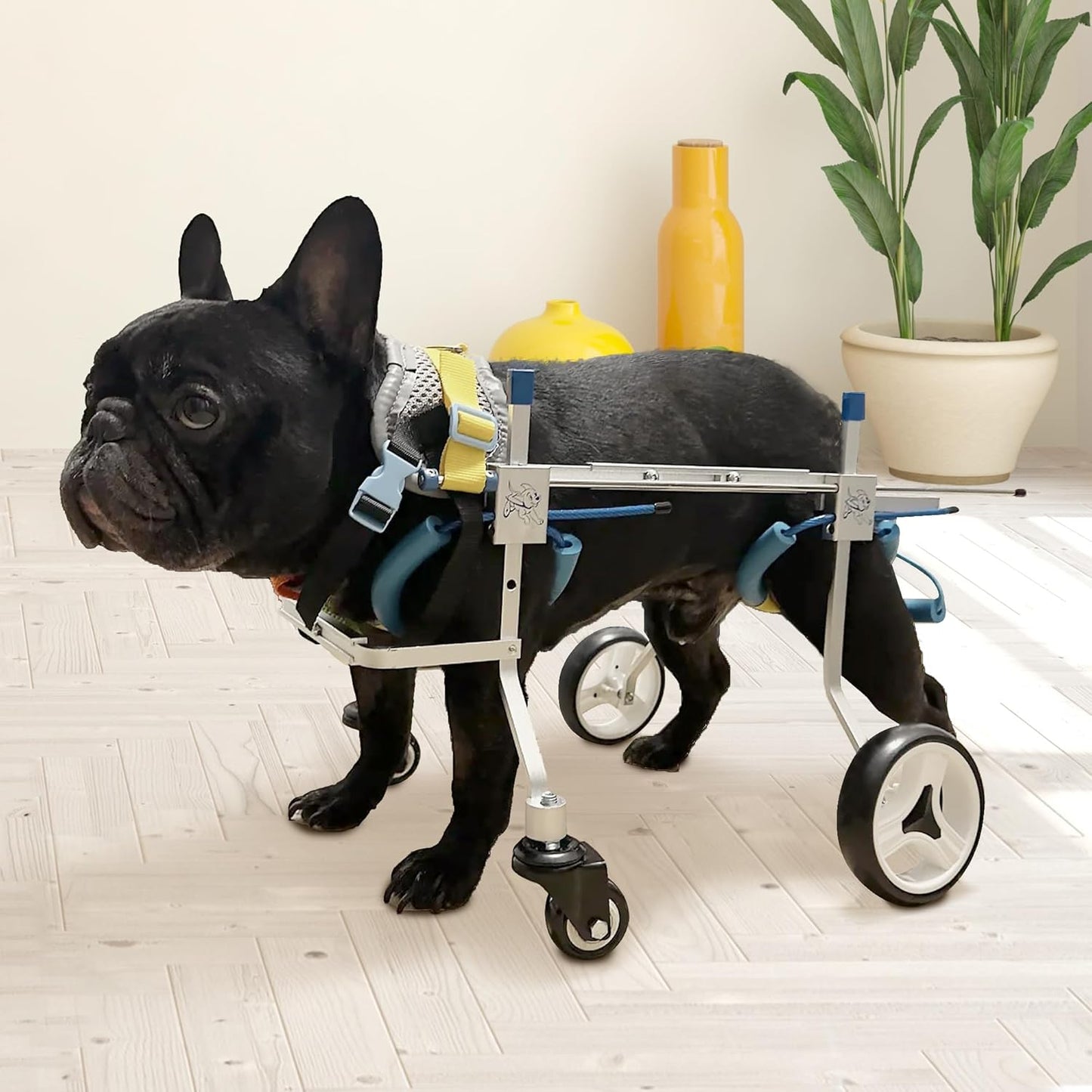 Four-Wheeled Adjustable Dog Wheelchair, Lightweight Mobility Bicycle Trailer for Disabled Pets, Easy to Assemble, Supports Walking and Exercise