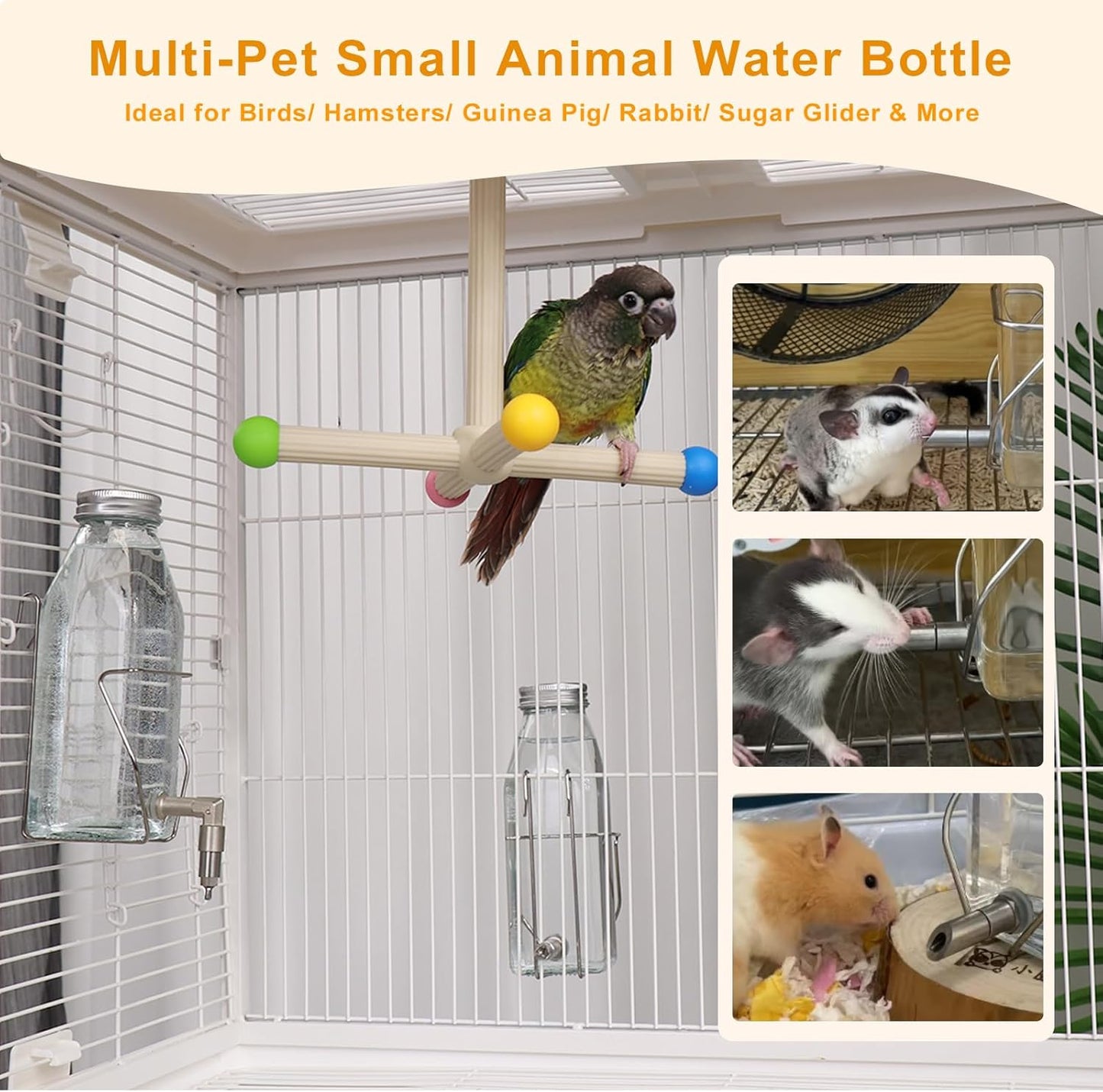 Guinea Pig & Rabbit Water Bottle, 350ml No-Drip Chew-Proof Glass Dispenser with Stainless Steel Nozzle for Hamster, Squirrel, Bird, Guinea Pig Cage (350-S)