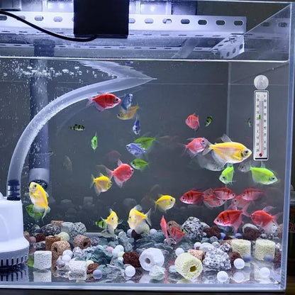 Fish Tank Temp Gauge - Reptile Tank Temperature Monitor,Suction Cup Anti-collision Temp Monitor for Aquarium Terrarium Greenhouse Indoor Fish Tank