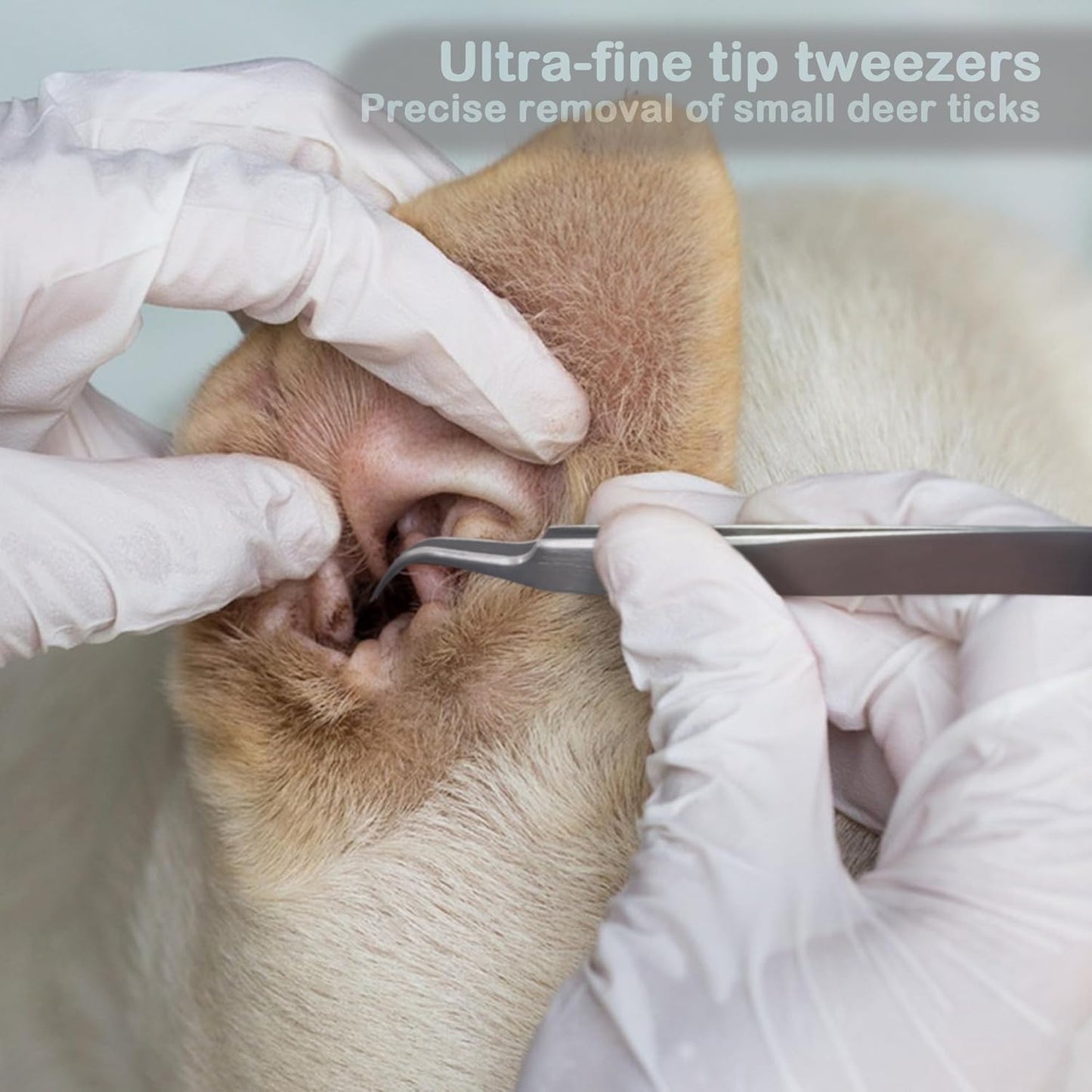 Quacc 2 PCS Tick Removal Tool Kit for Dogs Cats Humans Stainless Steel Tick Remover Tweezers with Storage Box