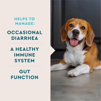 VetIQ Probiotic Powder for Dogs, Treats Diarrhea, Digestive Issues, Food Sensitivity, Chicken Flavored, Single-Serve Packets, 30 Count