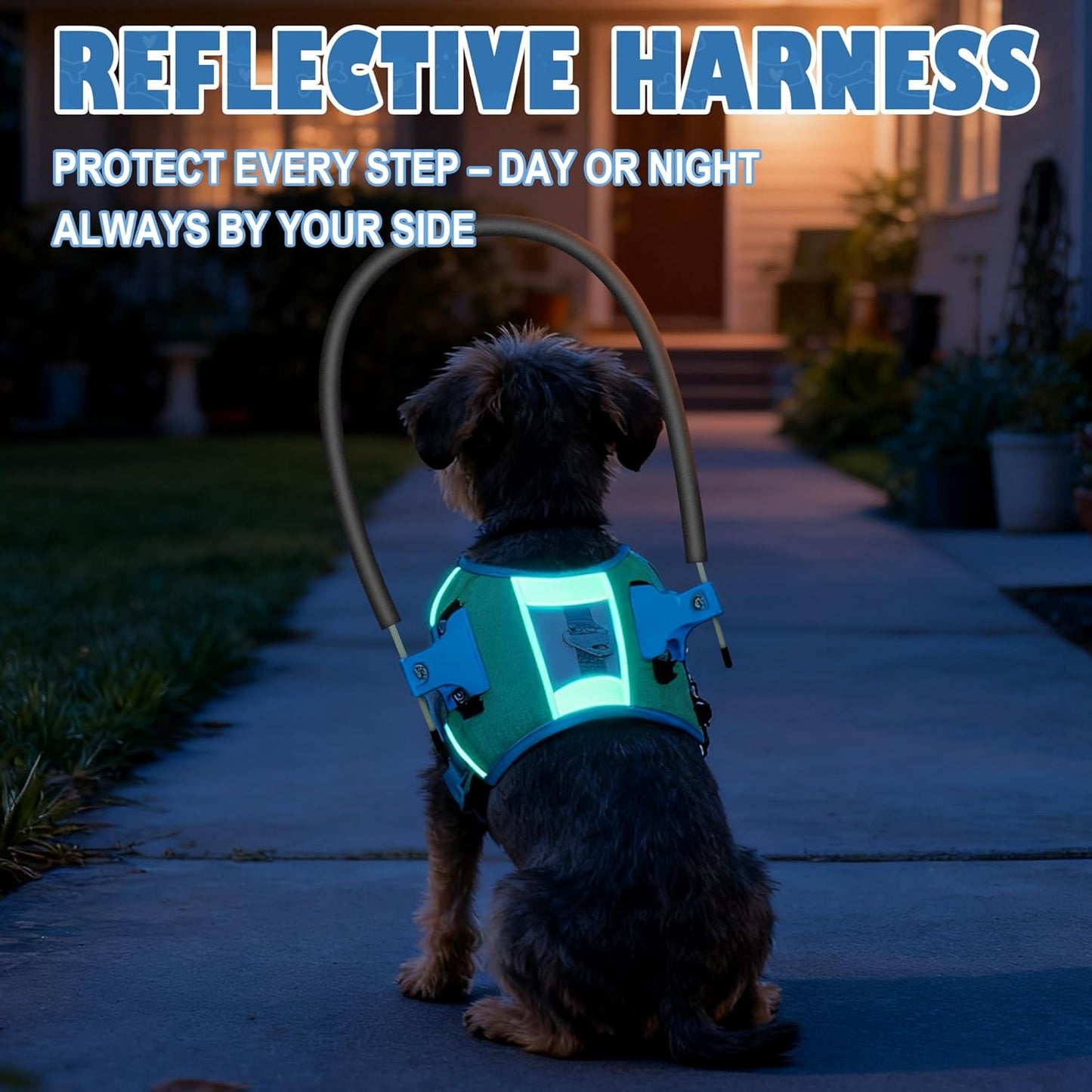 Halo Harness for Blind Dogs, Adjustable Safety Halo with Reflective Straps,Confidence Support Collar for Visually Impaired Pets,Blind Dog Navigation Aid (M)