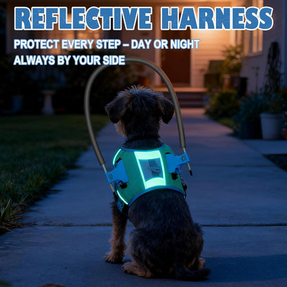 Halo Harness for Blind Dogs, Adjustable Safety Halo with Reflective Straps,Confidence Support Collar for Visually Impaired Pets,Blind Dog Navigation Aid (M)