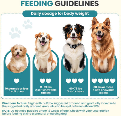 Probiotics for Dogs Gut Digestive Health Probiotic Chew for Dogs Digestive Enzymes Relieve Diarrhea Immunity Oral Problems Itching Constipation Prebiotics Dog Probiotics 200 Tablets Chicken Flavor