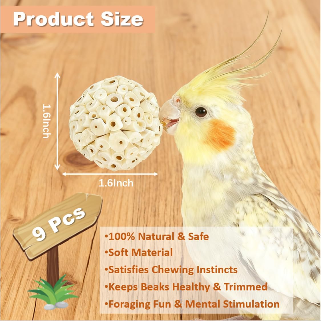 Bird Toys - Sola Ball Foraging Box Bundle with 9Pcs Small Natural Sola Balls for Extra Cage Enrichment, Ideal for Parakeets/Cockatiels/Conures/Lovebirds and Small to Medium Birds