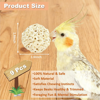 Bird Toys - Sola Ball Foraging Box Bundle with 9Pcs Small Natural Sola Balls for Extra Cage Enrichment, Ideal for Parakeets/Cockatiels/Conures/Lovebirds and Small to Medium Birds