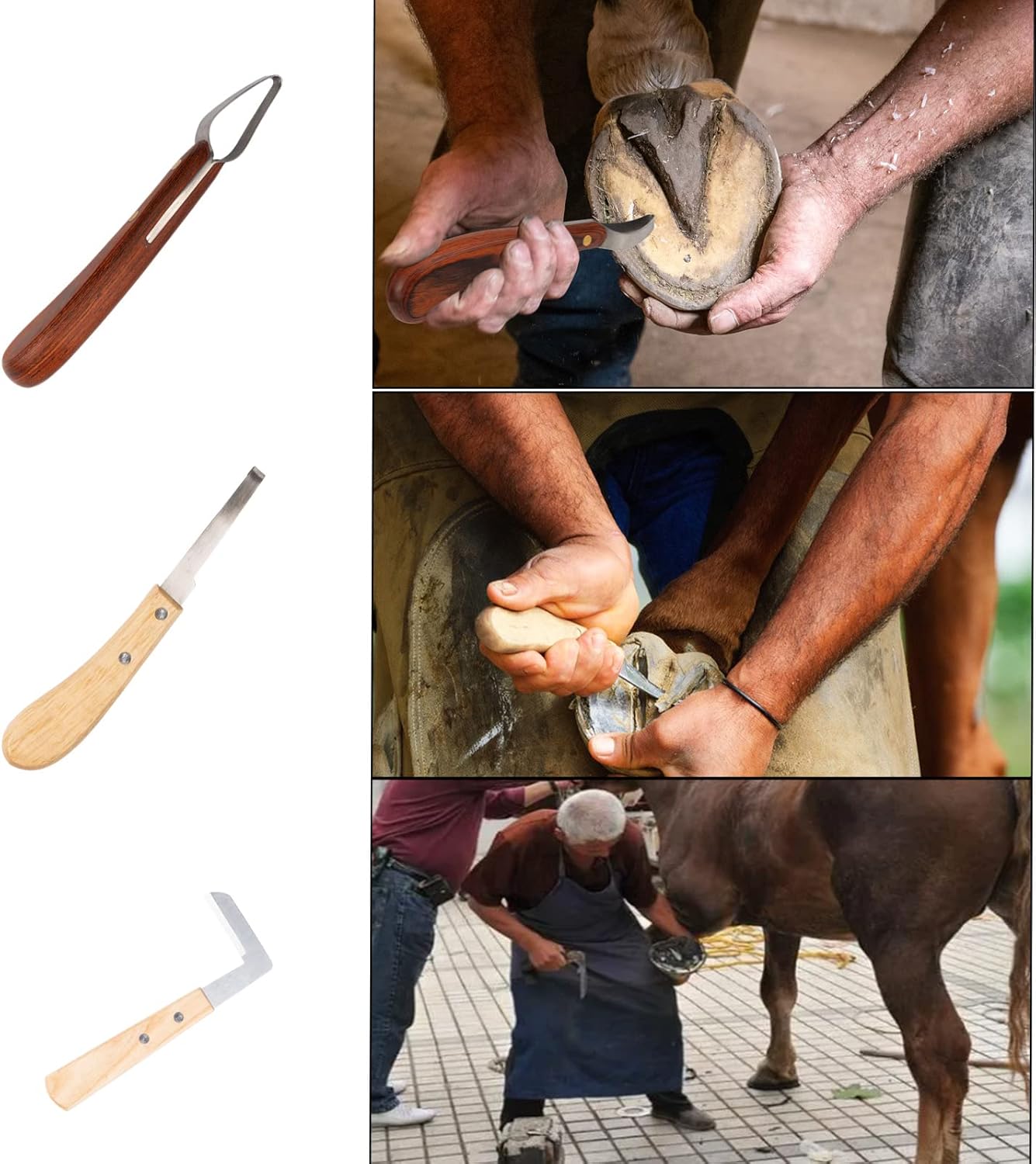 Farrier Tools Horse Hoof Trimmers - 64PCS Goat Hoof Trimmers Kit 8 Inch Hoof Rasp Nippers Pick Knife Cutter Buffer Hammer Brushes with Hoof Knife Sharpener for Pigs