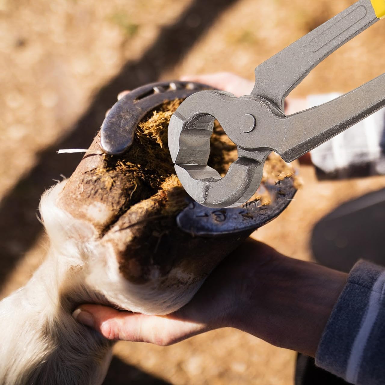BESPORTBLE Hoof Trimmer Pliers for Cattle and Sheep Lightweight Portable Farrier Tool with Comfortable Grip Durable Metal Hoof Cutter for Easy Care
