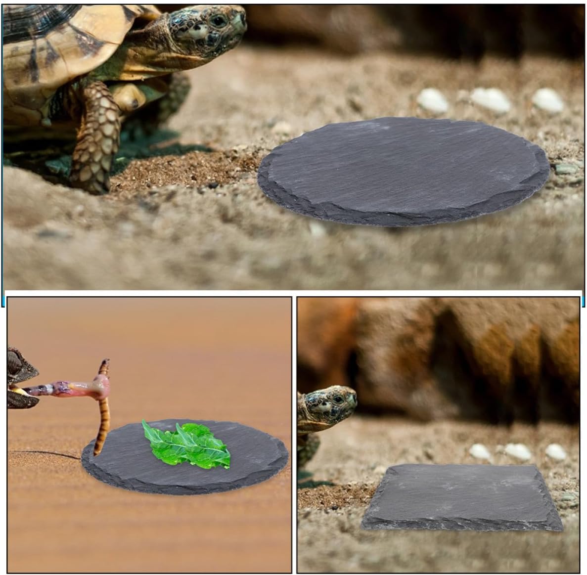 2Pcs Turtle Basking Platform Set, Wear-Resistant Stone Reptile Rocks, 10X10Cm Square Round Terrarium Decor for Tortoise Habitat and Aquatic Turtle Supplies