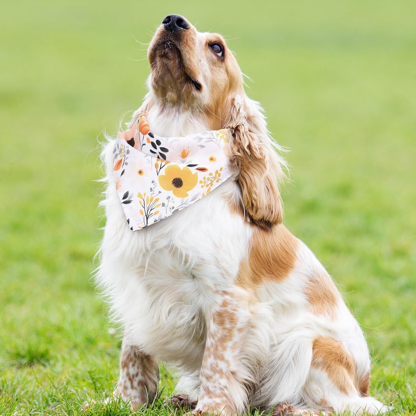 Whaline 4Pcs Boho Pet Bandanas Spring Daisy Dog Scarf Washable Adjustable Triangle Dog Bibs Puppy Neckerchief for Cat Pet Birthday Costume Accessories