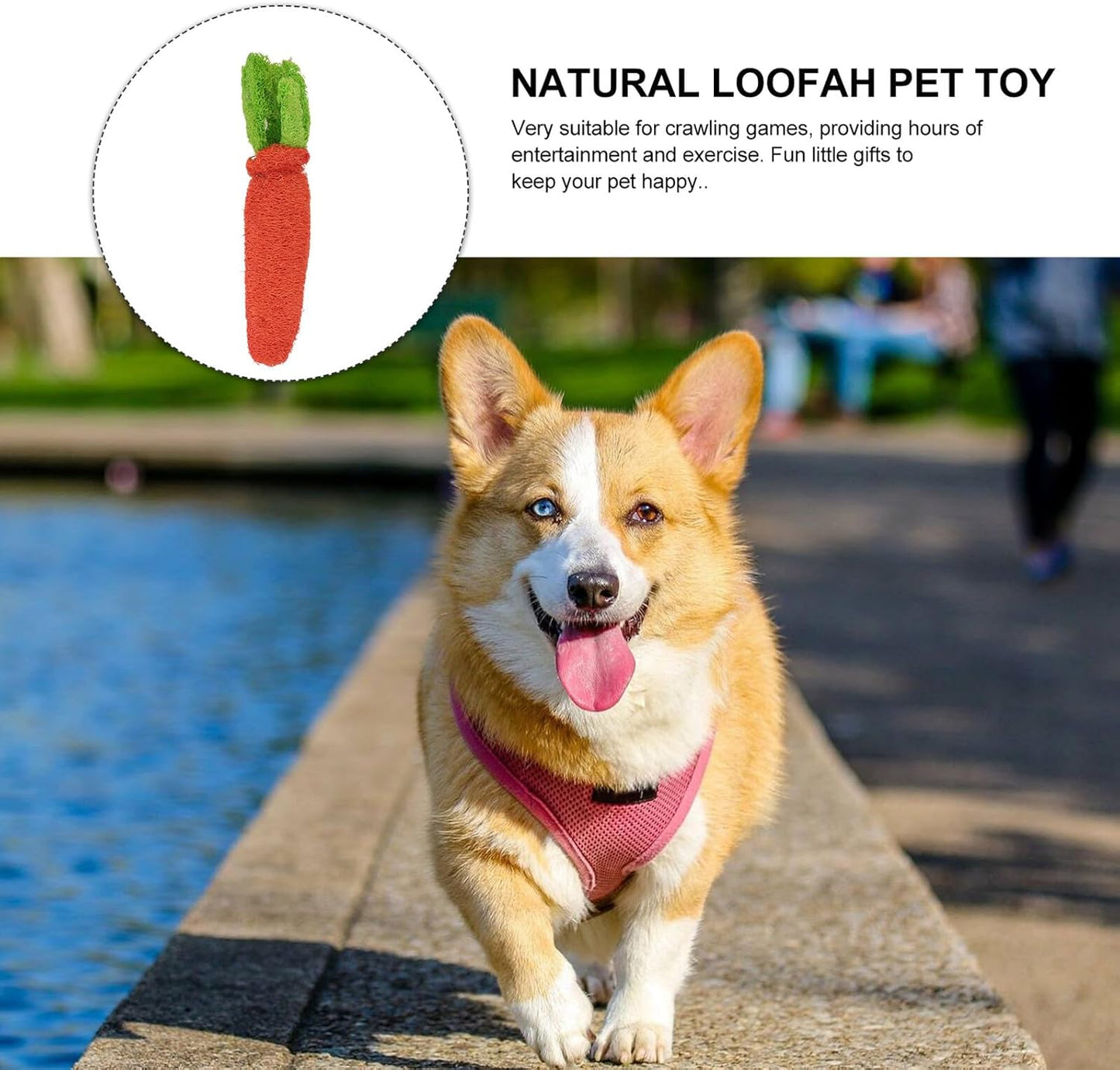 Natural Loofah Carrot Pet Molar Chew for Rabbits and Dogs, 2Pcs Set, Safe Rabbit Biting and Hamster Chewing Supply for Small Animals’ Dental Health