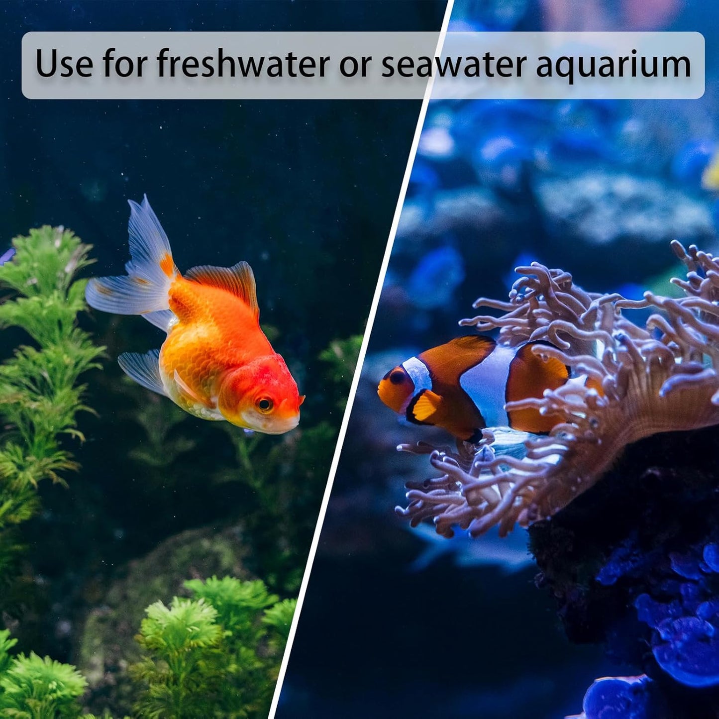 Aquarium Decor Cave Betta Fish Aquarium Accessories Ornaments Hiding Cave Daikon House Hideout for Shrimp Cichlid Hermit Crab, Octopus Hiding Breeding for Tank (White)