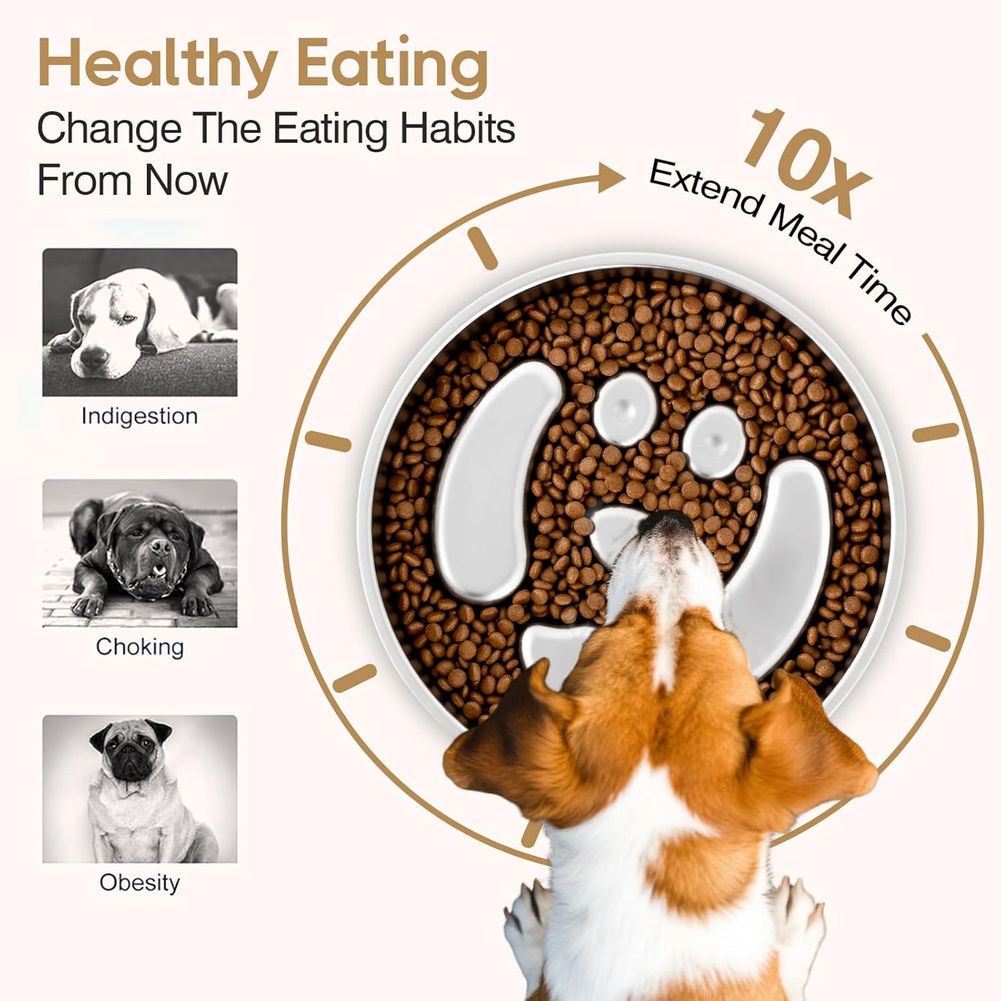 Slow Feeder Dog Bowls, Stainless Steel with Non-Slip Silicone Base Metal Bowl, 2 Cups Large Capacity Slow Feed for Small, Medium, Large Breed Dogs