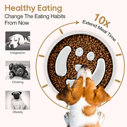 Slow Feeder Dog Bowls, Stainless Steel with Non-Slip Silicone Base Metal Bowl, 2 Cups Large Capacity Slow Feed for Small, Medium, Large Breed Dogs