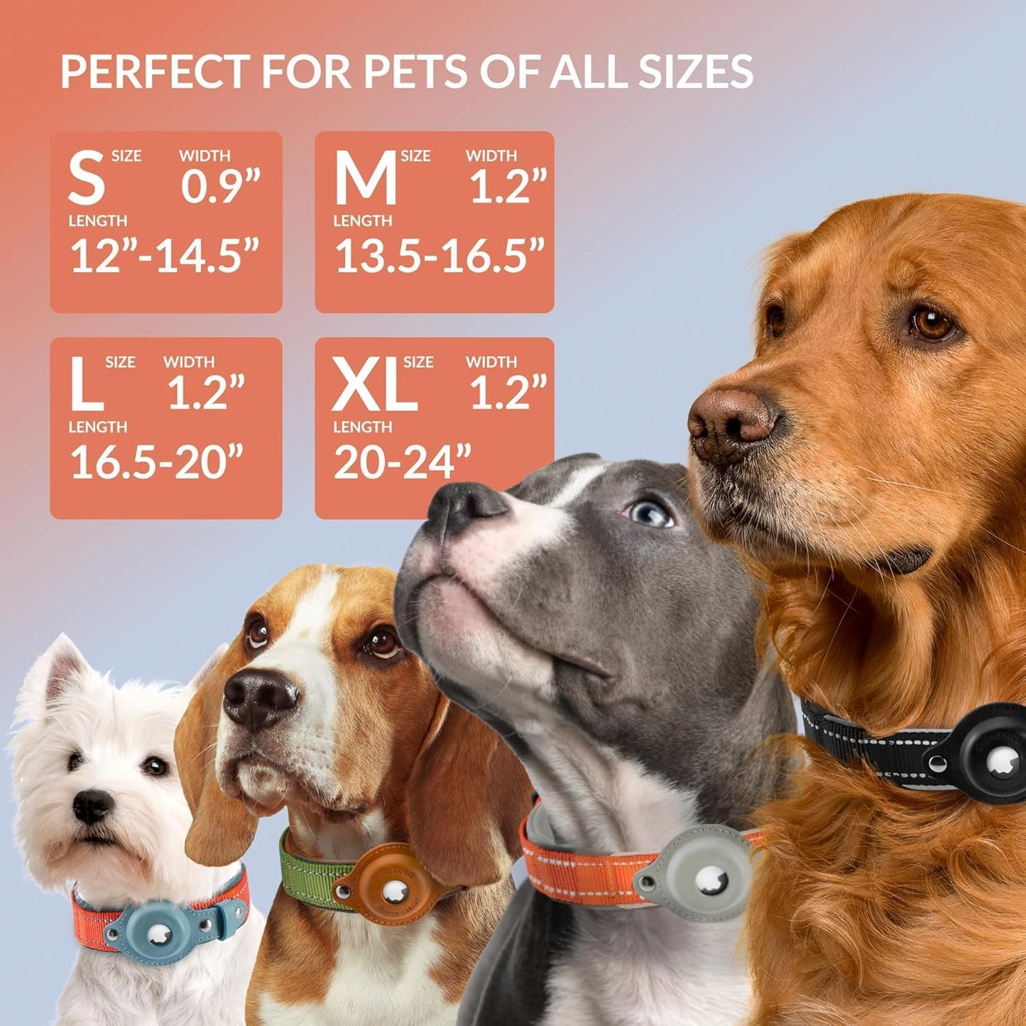 CollarDirect Airtag Dog Collar Reflective Nylon Neoprene Leather Holder for Apple Air Tag for Large, Medium, and Small Dogs (Pink, M, 13.5-16.5 Inch)